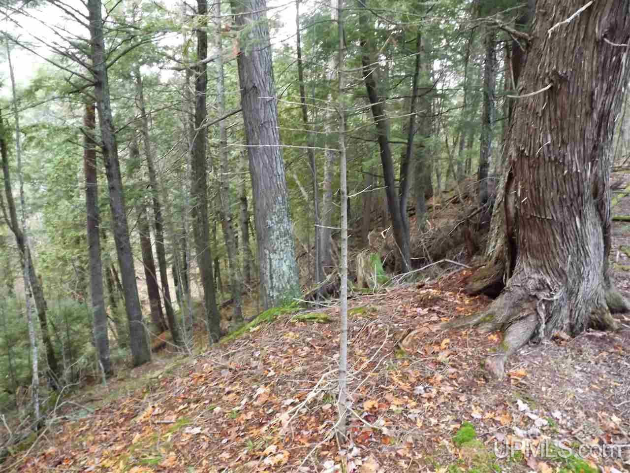 Tbd Yellow Road, Unit 277 & 298 Pelkie, MI 49952 - Photo 7 of 10