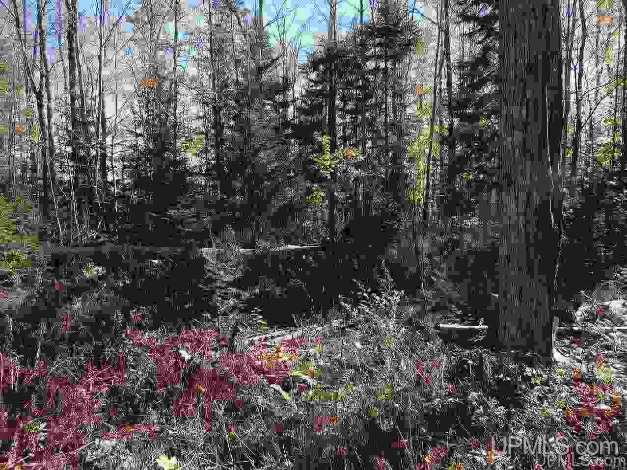 Tbd Payne Road Pelkie, MI 49958 - Photo 7 of 19