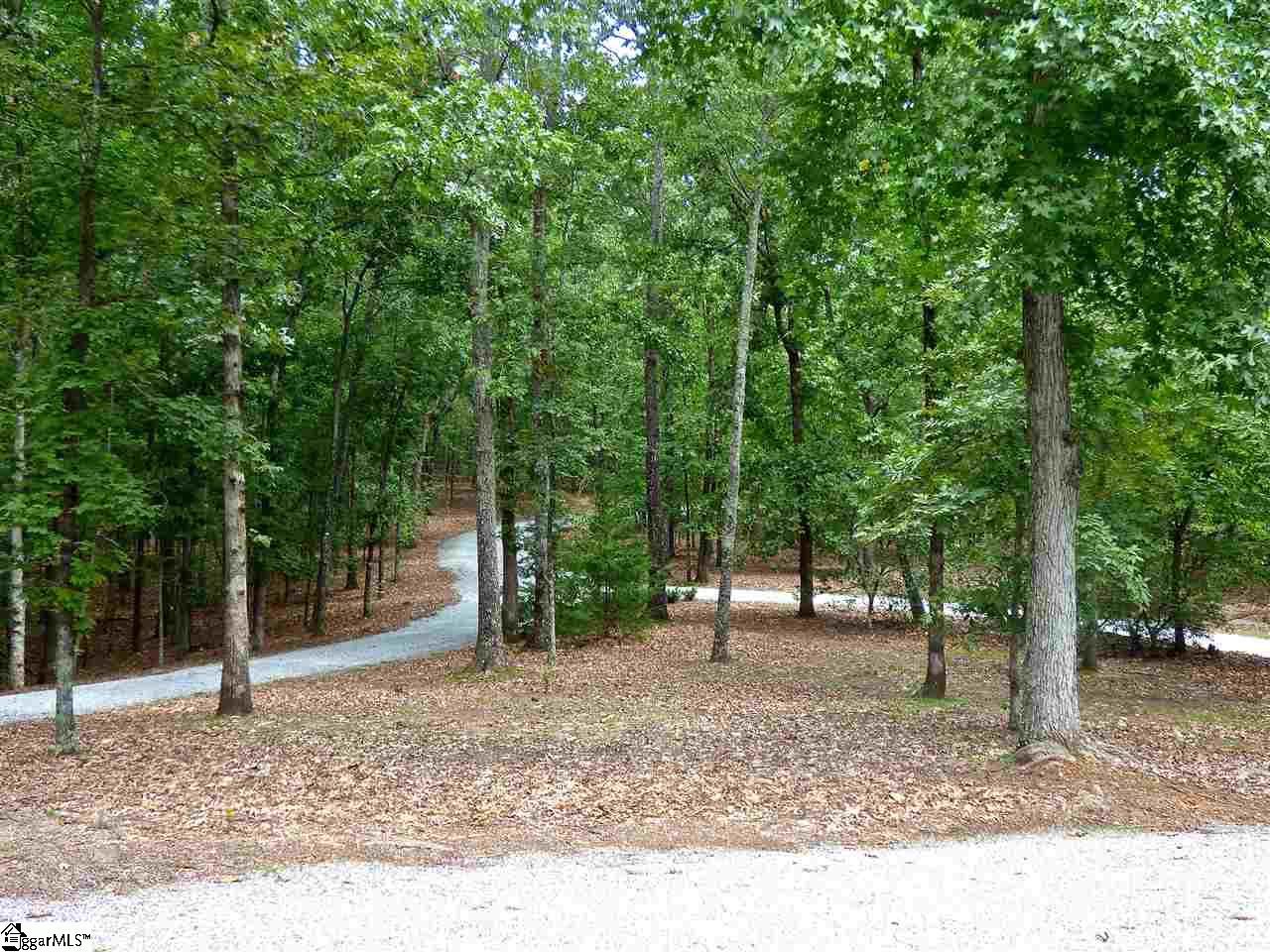 133 Coachman Lane Tryon, NC 28782 - Photo 2 of 24 Gallery Image 2