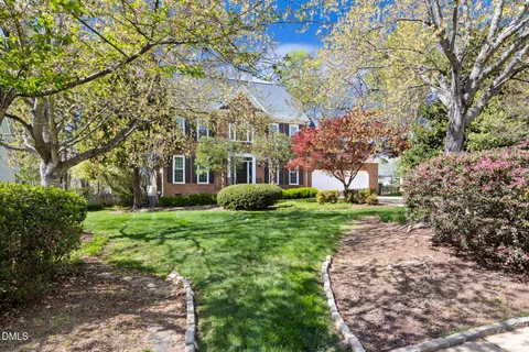 a view of a big yard with plants and large trees