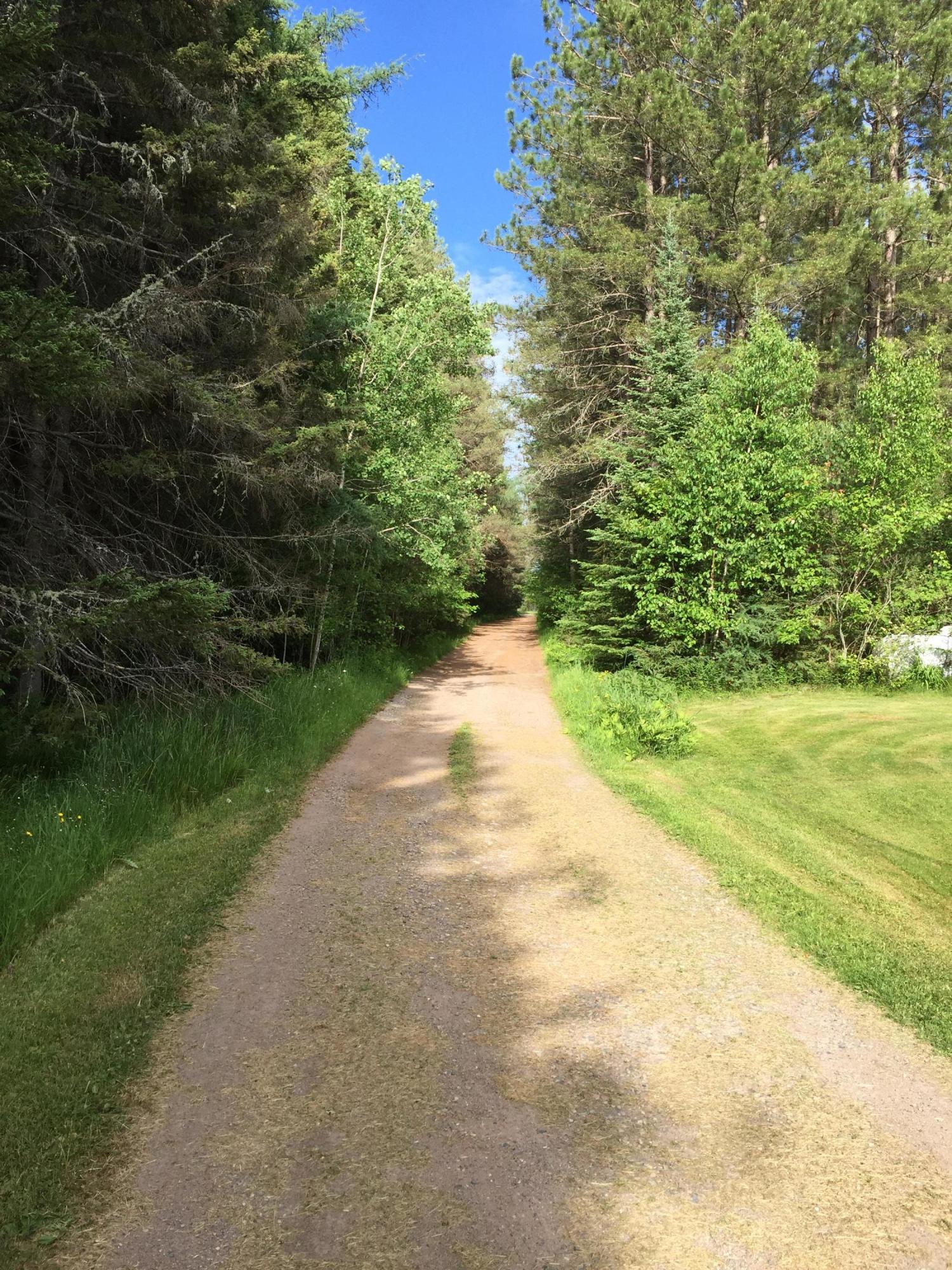 7174 South Forrest Side Road Brimley, MI 49715 - Photo 51 of 51 Gallery Image 51