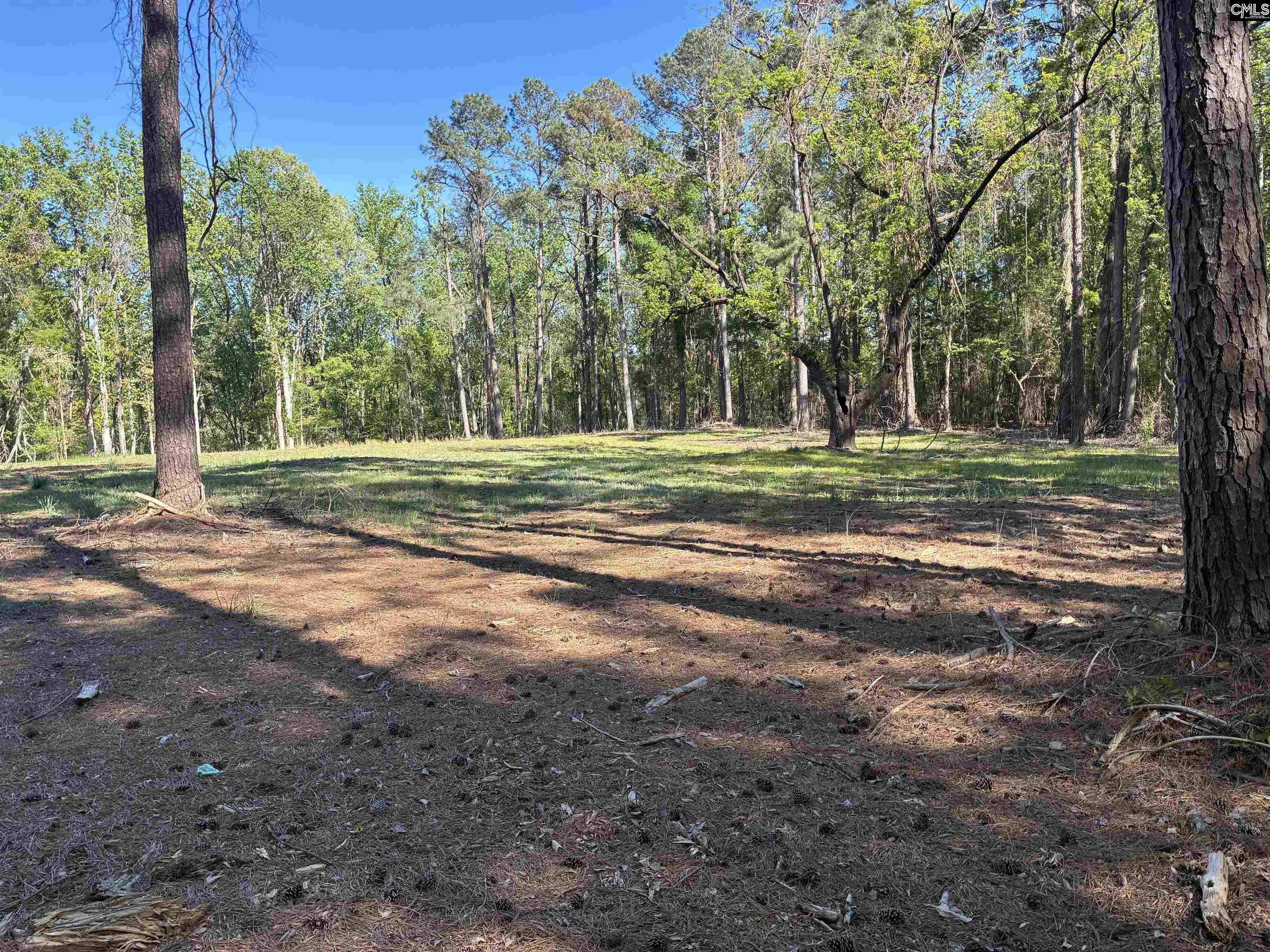0 Mud Creek Road Newberry, SC 29108 - Photo 7 of 10