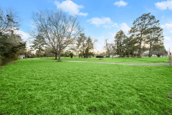 a view of a grassy field with trees