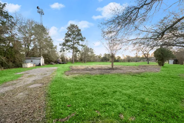 a view of a park with large trees