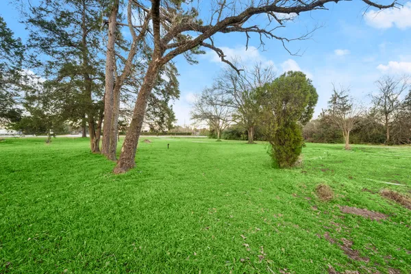 a view of a garden with a tree