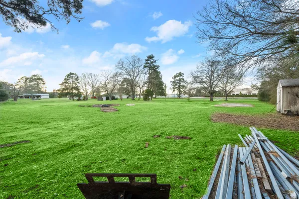 a view of a park with large trees
