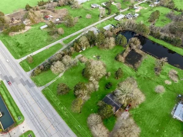 a view of a garden with a bench