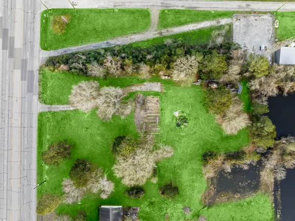 a view of a garden with a lake