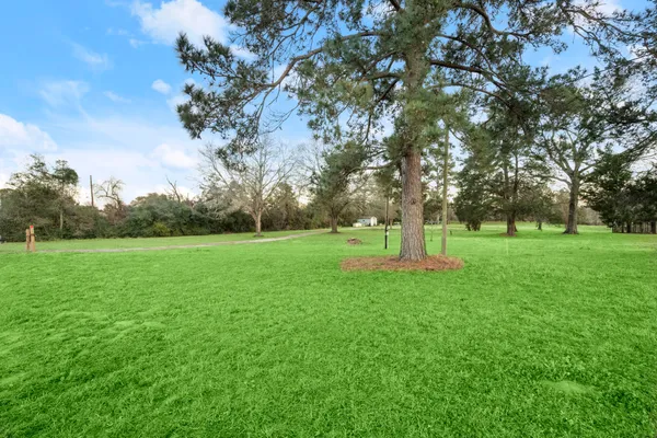a view of a park with large trees
