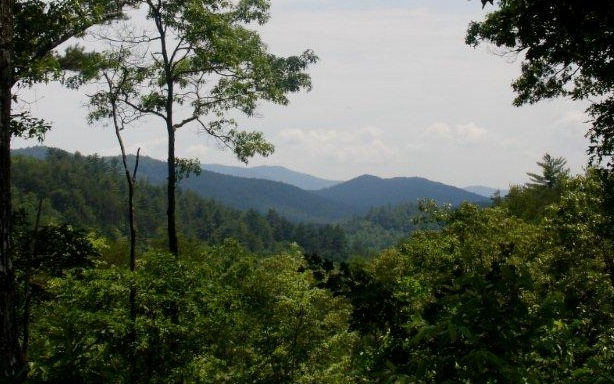 2-lts Pony Ghost Trail Blue Ridge, GA 30513 - Photo 1 of 1 Main View