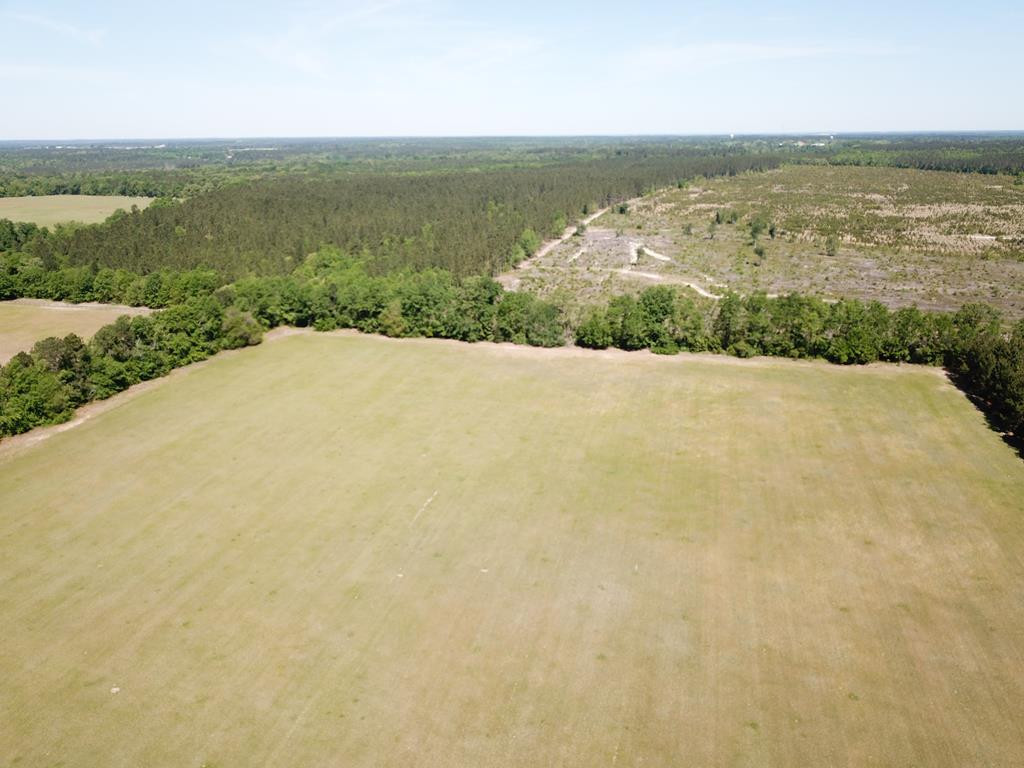 Tbd Tbd Dixie Road South Wagener, SC 29164 - Photo 15 of 25
