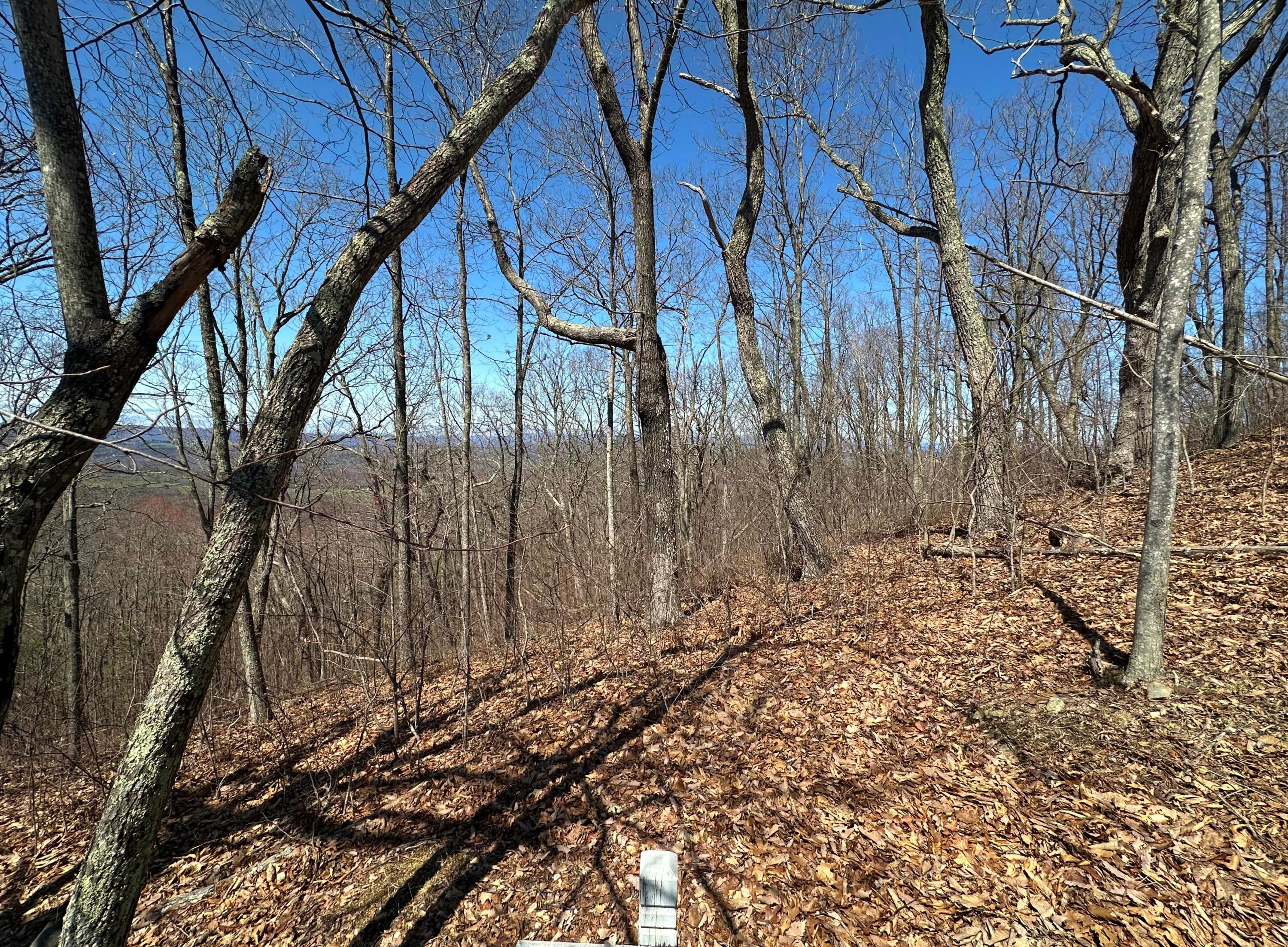 Lot 23 Wildwood Ridge Lindside, WV 24951 - Photo 18 of 20 Wildwood Ridge