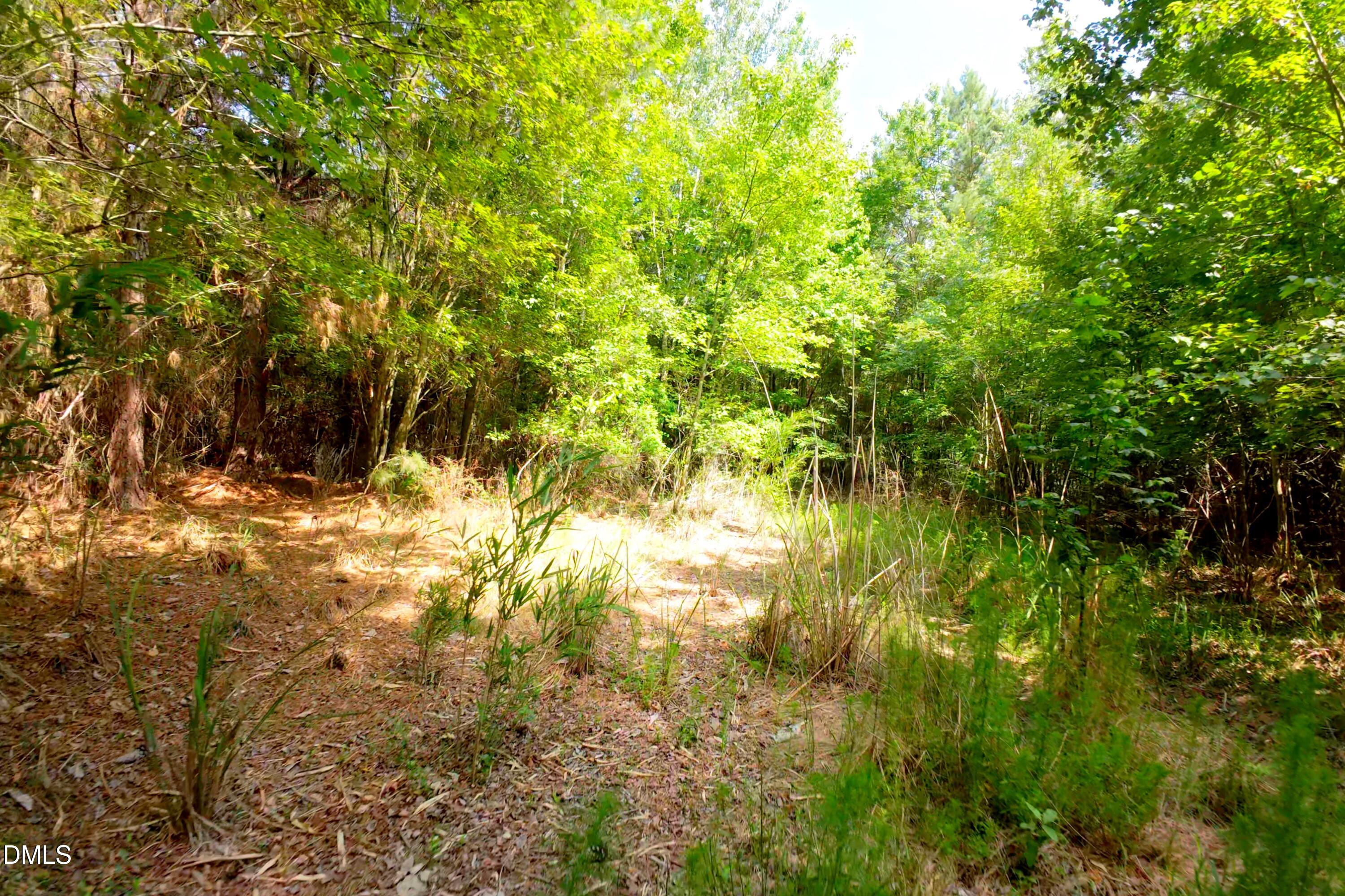 3 Bowden Road Turkey, NC 28393 - Photo 33 of 33 Sampson County Property Still Photo30