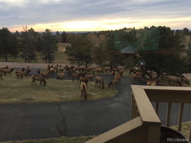 243 Paradise Road Golden, CO 80401 - Photo 46 of 49 a view of outdoor space and yard