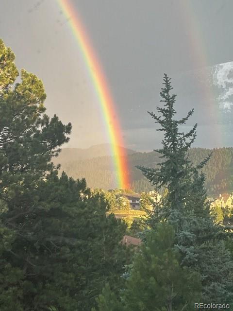 243 Paradise Road Golden, CO 80401 - Photo 48 of 49 a view of a yard with a tree