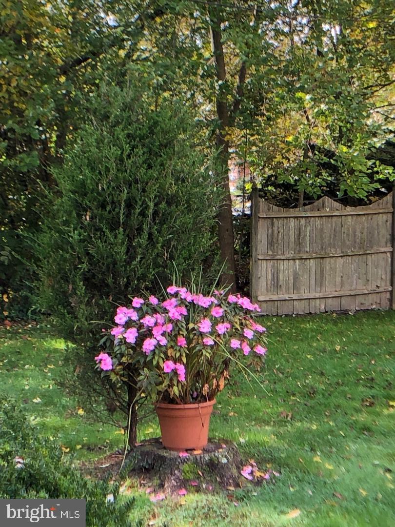 504 Sicklerville Road Williamstown, NJ 08094 - Photo 36 of 39 Gallery Image 36