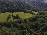 1111 Walker Ml Road Williamsburg, KY 40769 - Photo 26 of 40 Photo 27