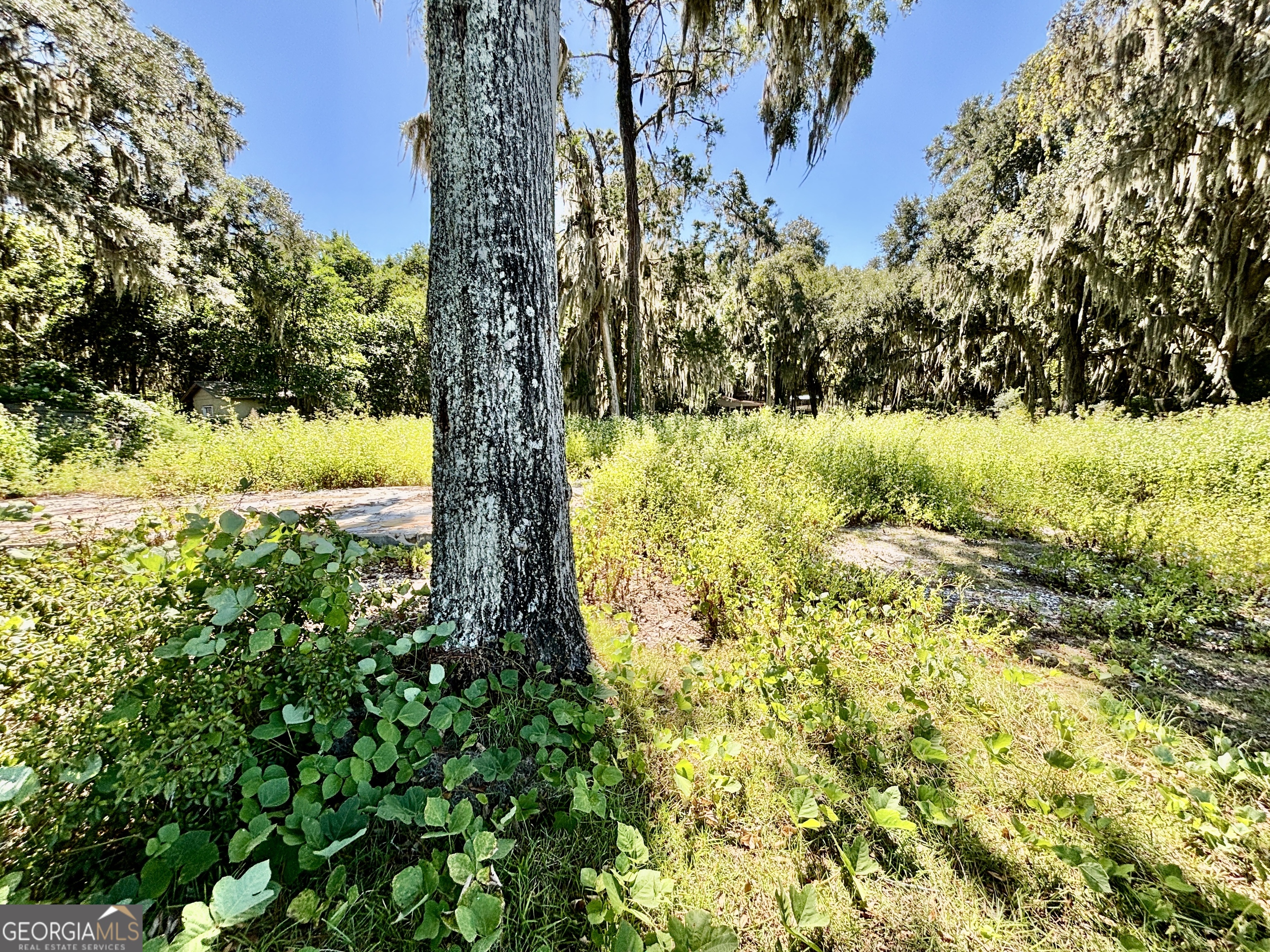 1334 Azalea Road Northeast Townsend, GA 31331 - Photo 9 of 29 Gallery Image 9