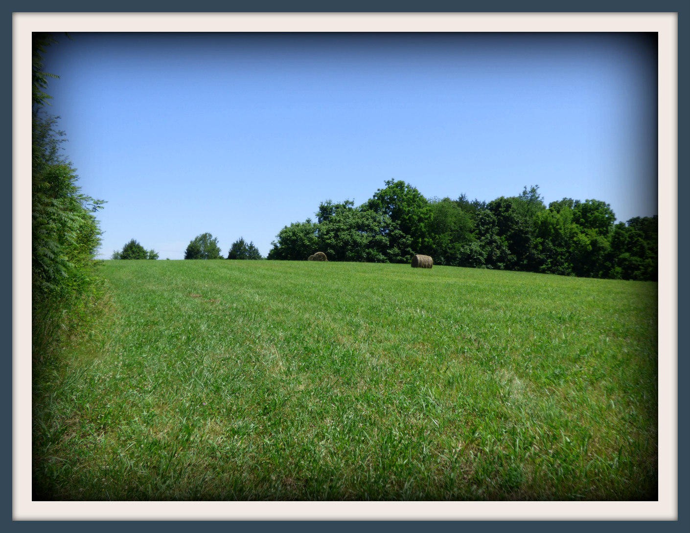 37 Nances Ferry Road New Market, TN 37820 - Photo 11 of 14 Gallery Image 11