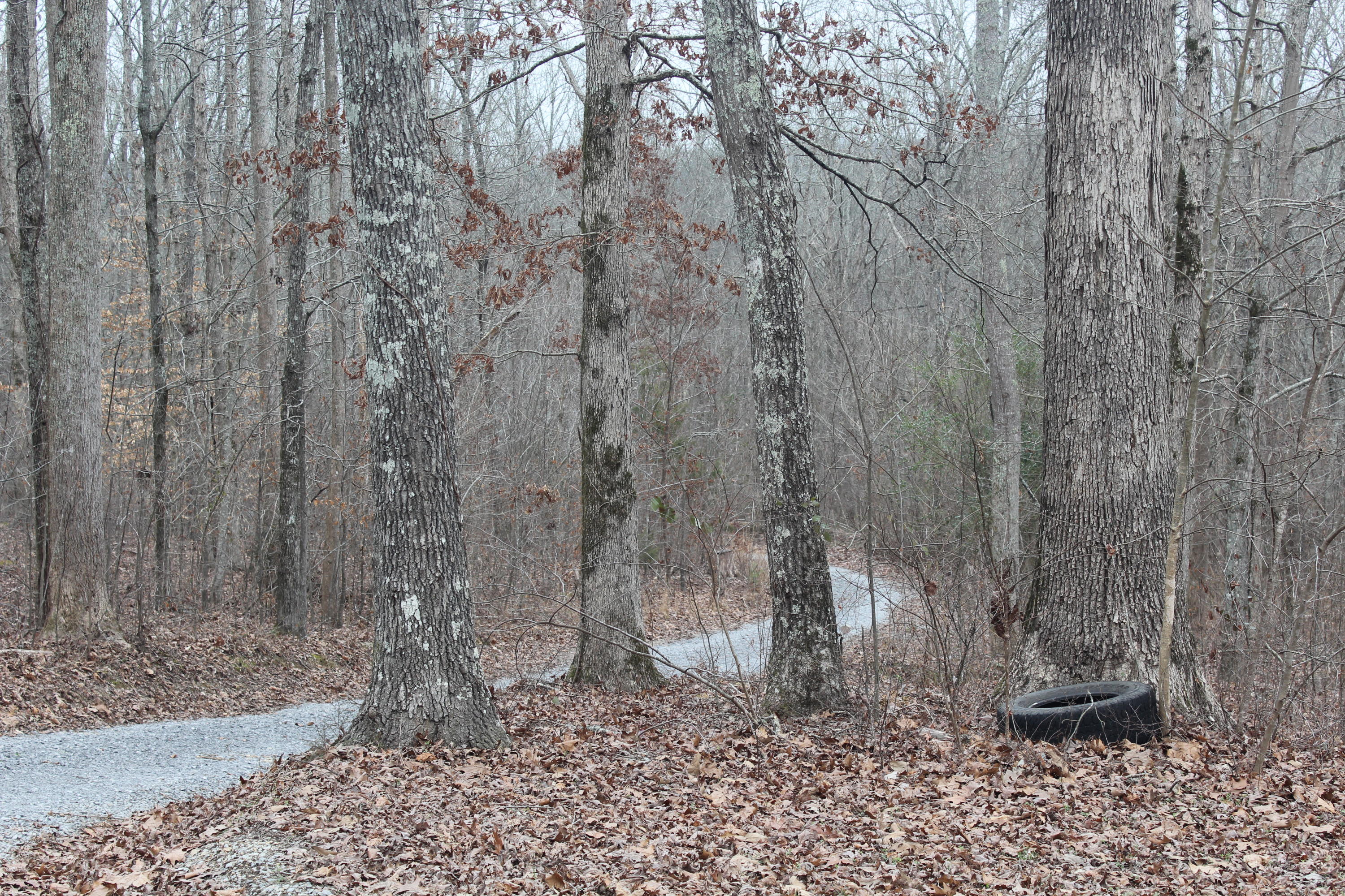 332 Suddath Road Ten Mile, TN 37880 - Photo 27 of 33 IMG_2159