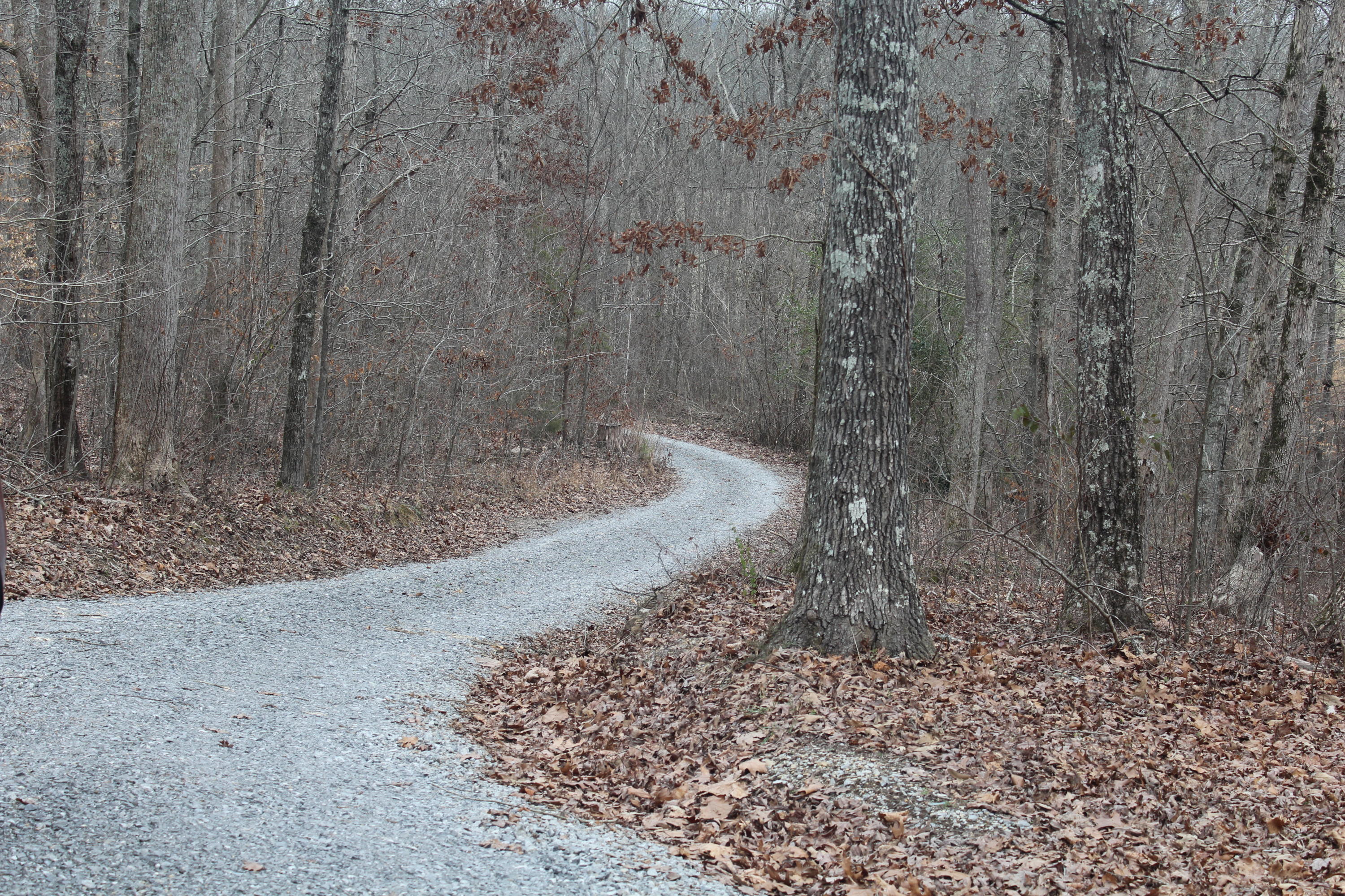 332 Suddath Road Ten Mile, TN 37880 - Photo 28 of 33 IMG_2160