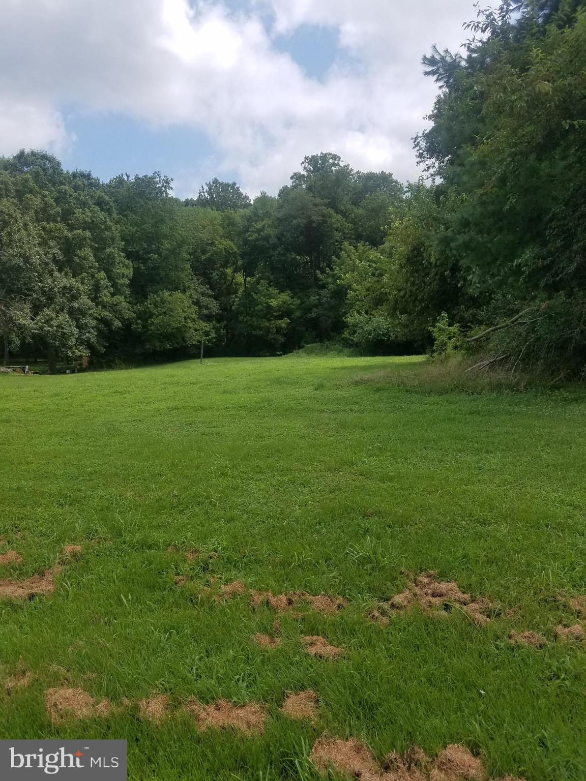 2996 Old County Road Newark, DE 19702 - Photo 3 of 16 Back Yard