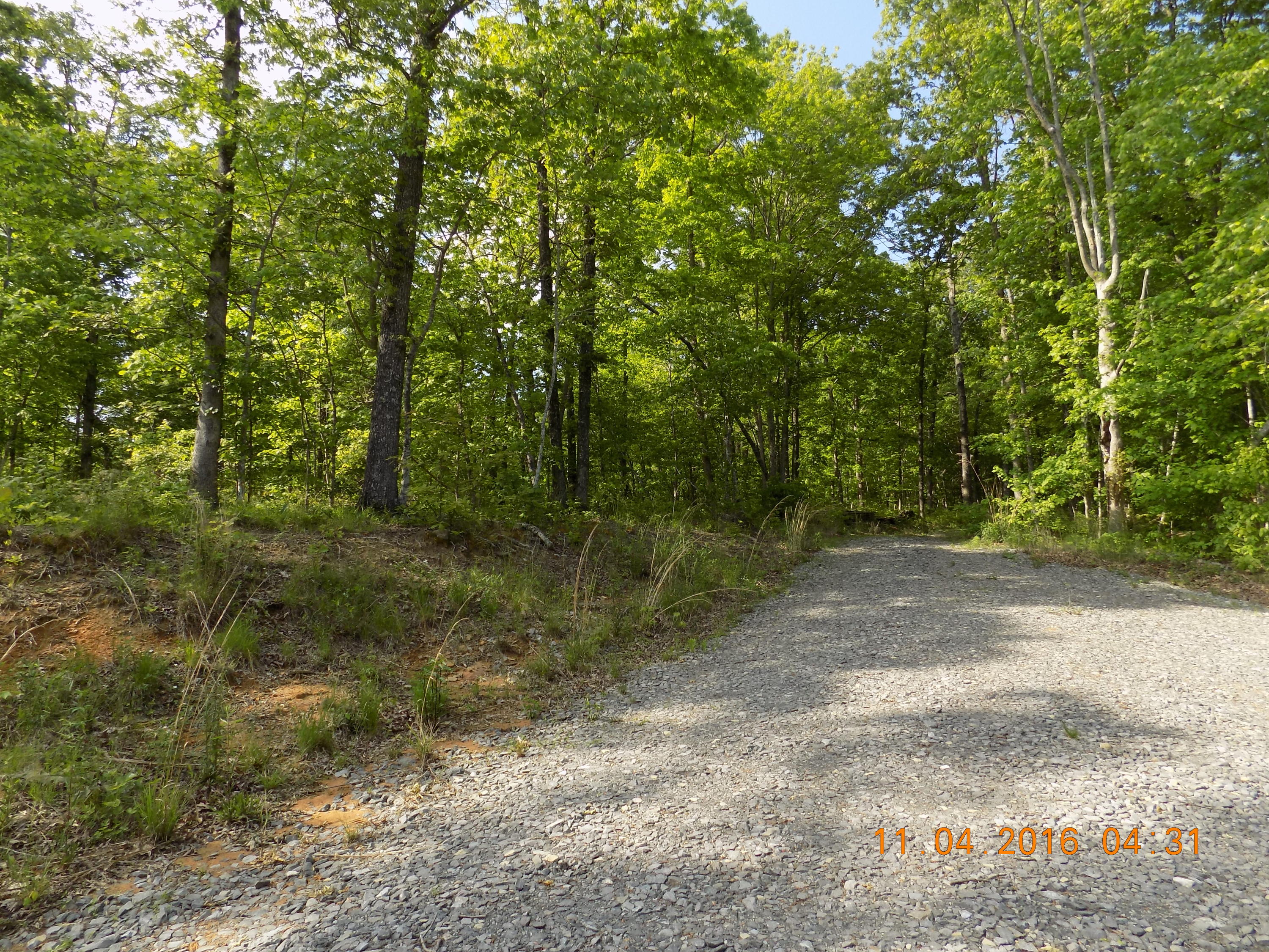 309 A Mountain Place Road Dunlap, TN 37327 - Photo 11 of 12 DSCN1049