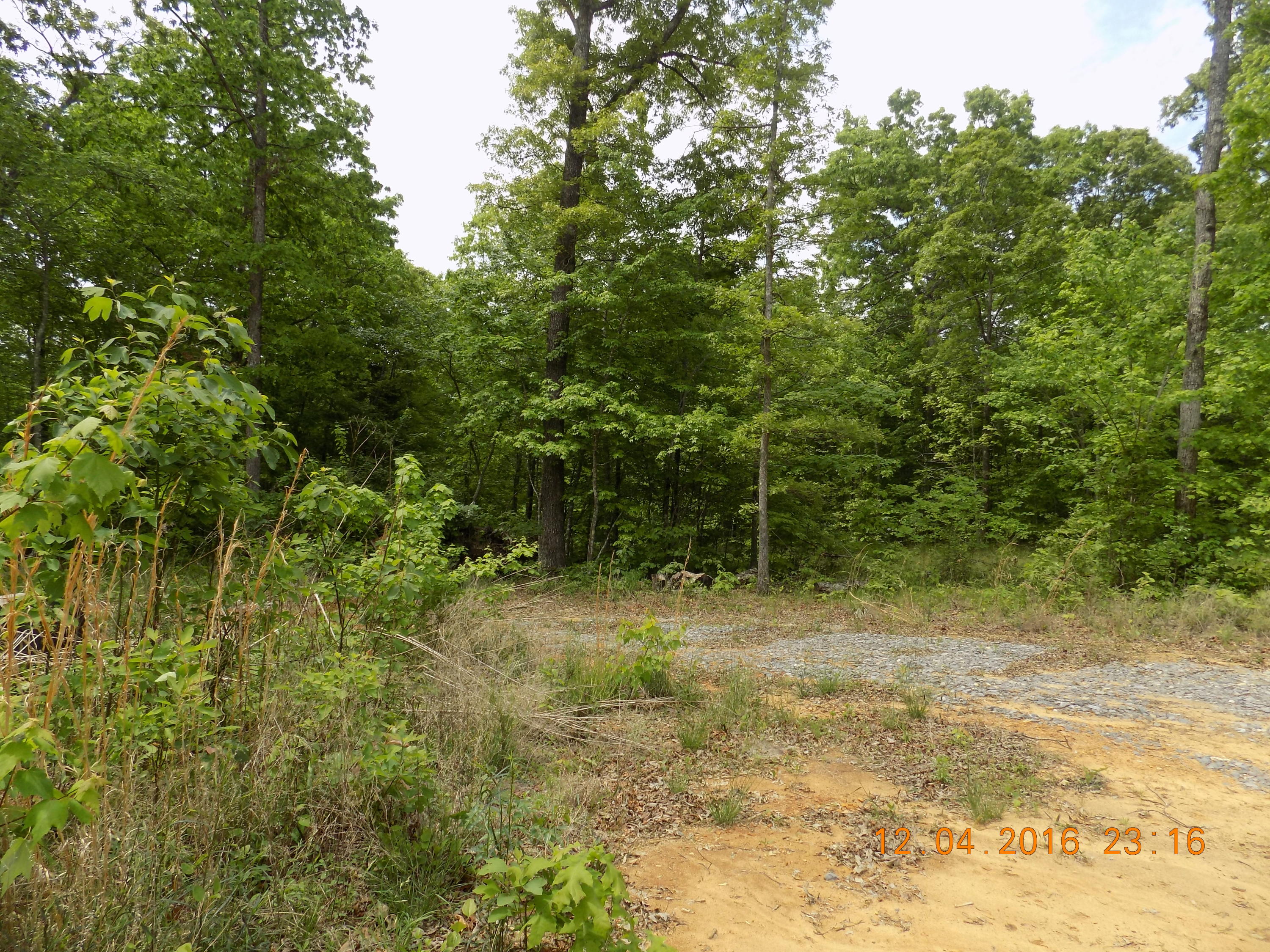 309 A Mountain Place Road Dunlap, TN 37327 - Photo 8 of 12 DSCN1087