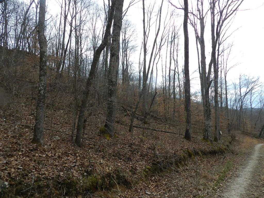 999 Burton Road Brodhead, KY 40409 - Photo 3 of 3 Photo 3