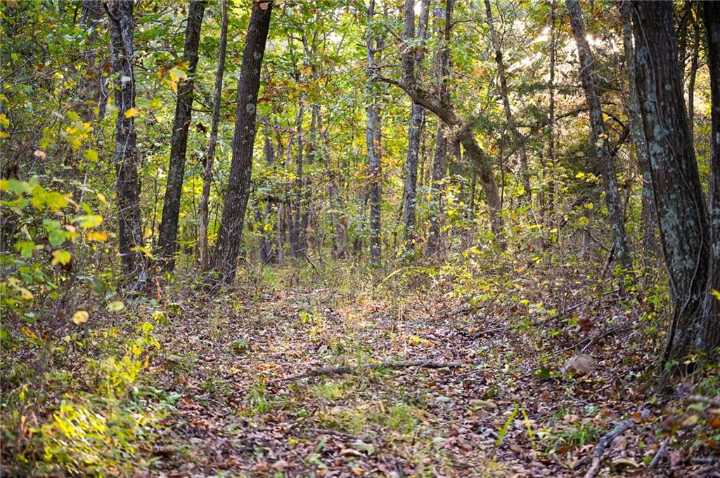 21395 East 2124 Road Stockton, MO 65785 - Photo 15 of 45