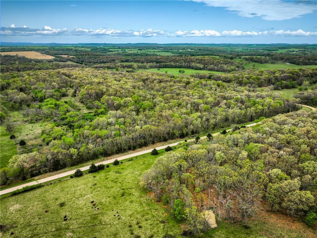 21395 East 2124 Road Stockton, MO 65785 - Photo 28 of 45