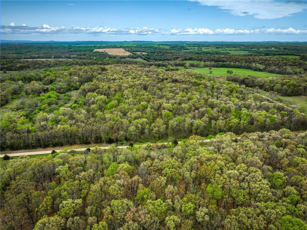 21395 East 2124 Road Stockton, MO 65785 - Photo 29 of 45