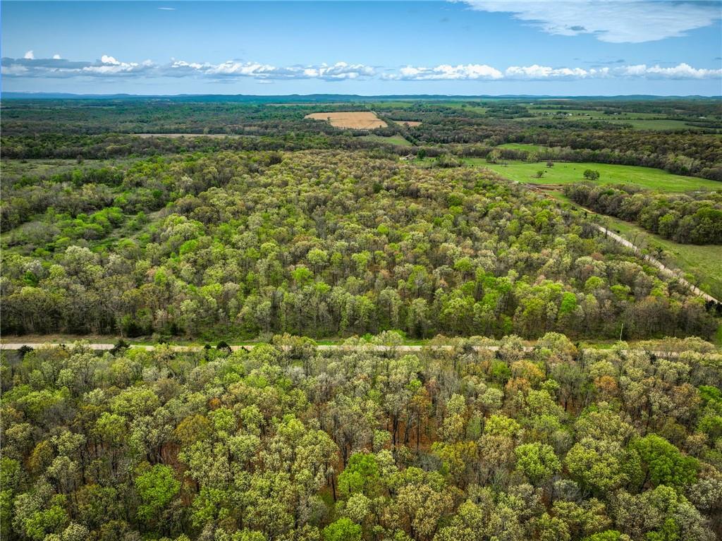 21395 East 2124 Road Stockton, MO 65785 - Photo 30 of 45