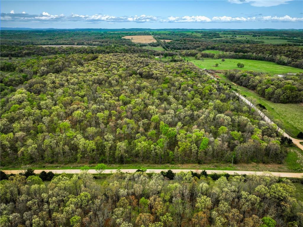 21395 East 2124 Road Stockton, MO 65785 - Photo 31 of 45