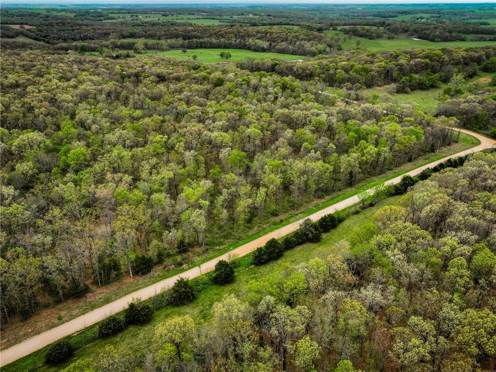 21395 East 2124 Road Stockton, MO 65785 - Photo 34 of 45