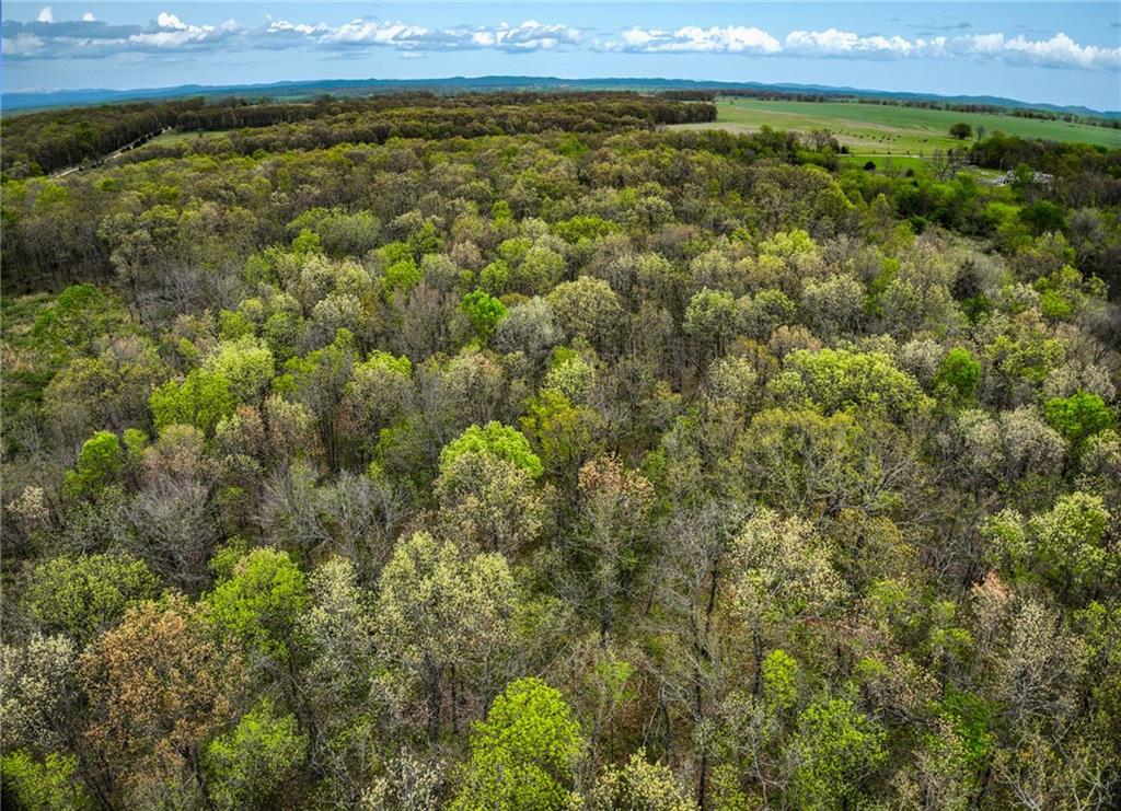 21395 East 2124 Road Stockton, MO 65785 - Photo 38 of 45