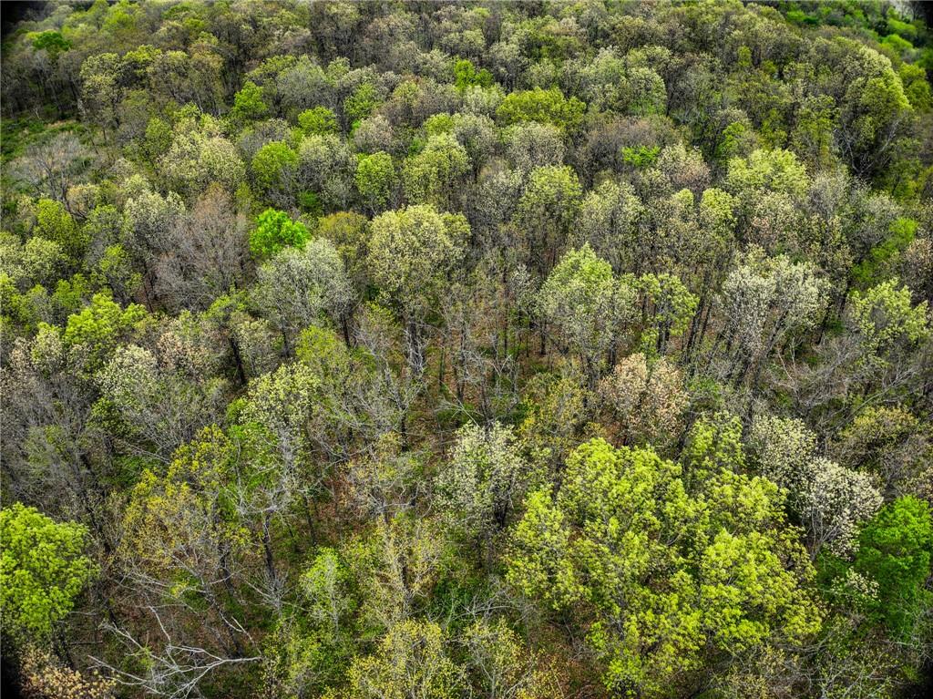 21395 East 2124 Road Stockton, MO 65785 - Photo 39 of 45