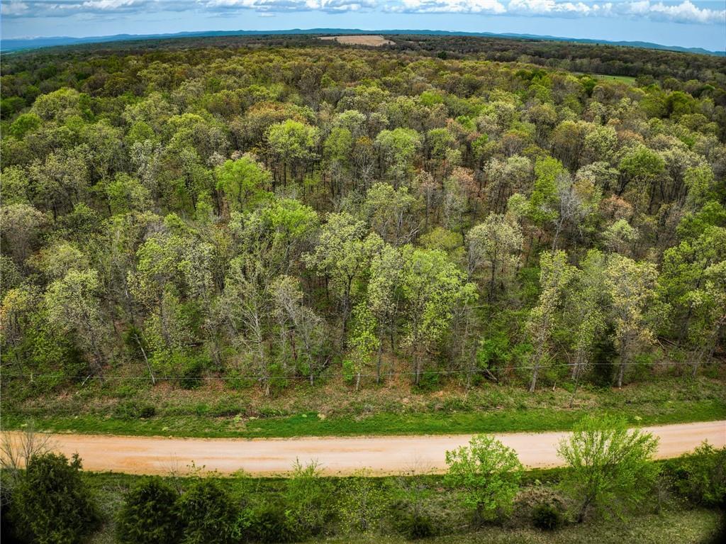 21395 East 2124 Road Stockton, MO 65785 - Photo 40 of 45