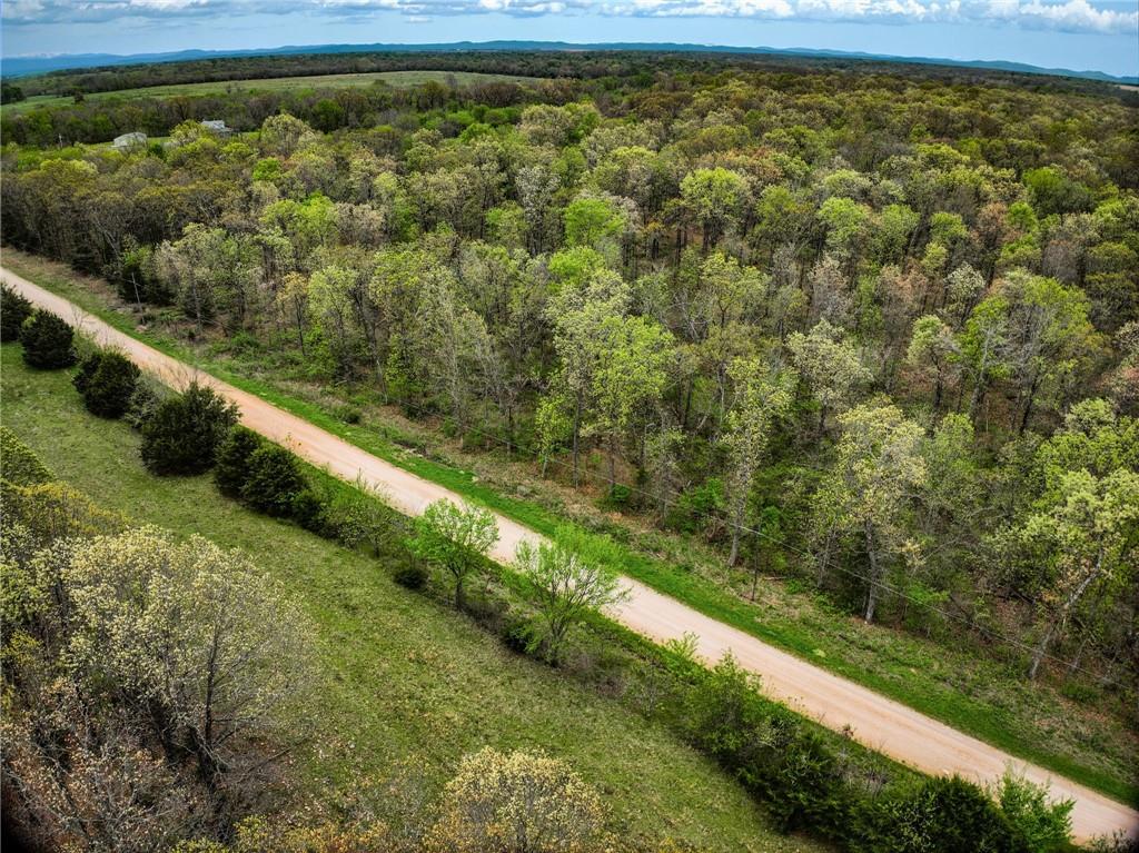 21395 East 2124 Road Stockton, MO 65785 - Photo 41 of 45