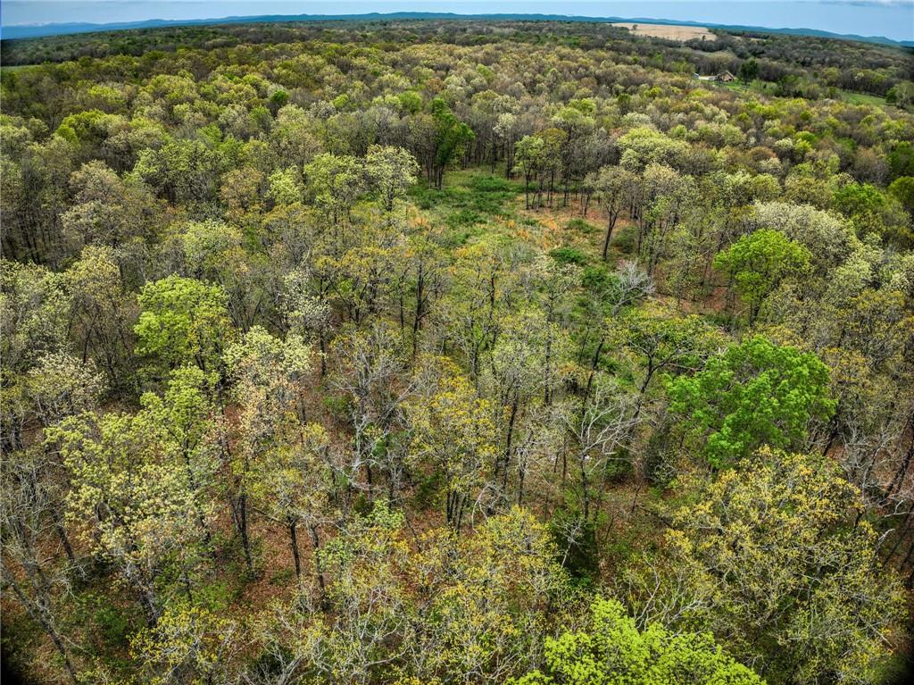 21395 East 2124 Road Stockton, MO 65785 - Photo 42 of 45