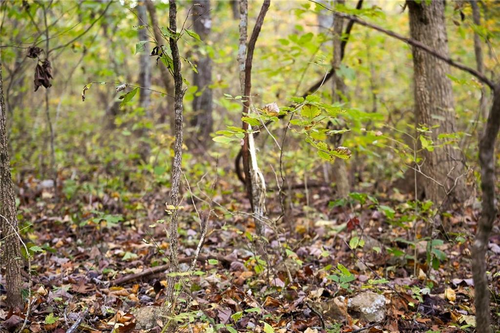 21395 East 2124 Road Stockton, MO 65785 - Photo 8 of 45