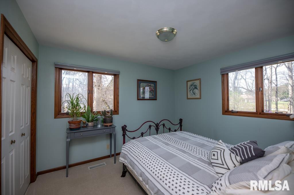 220 Deer Lakes Drive Goodfield, IL 61742 - Photo 39 of 69