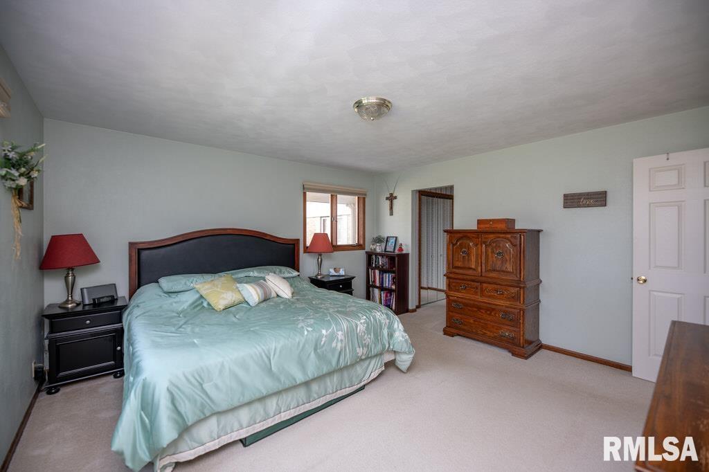 220 Deer Lakes Drive Goodfield, IL 61742 - Photo 41 of 69