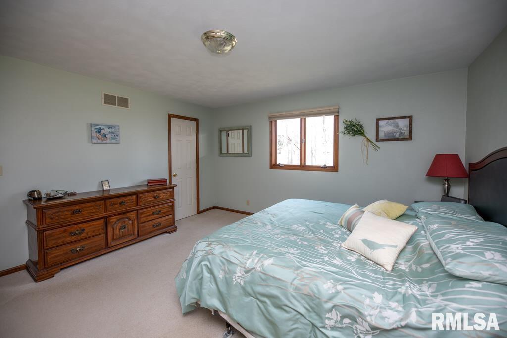220 Deer Lakes Drive Goodfield, IL 61742 - Photo 46 of 69