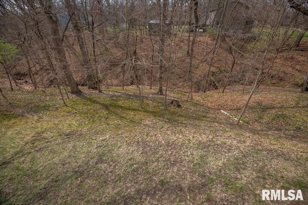 220 Deer Lakes Drive Goodfield, IL 61742 - Photo 50 of 69