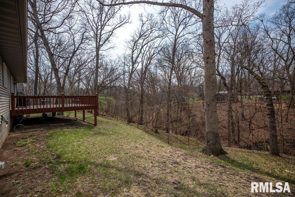 220 Deer Lakes Drive Goodfield, IL 61742 - Photo 51 of 69