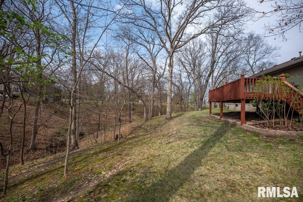 220 Deer Lakes Drive Goodfield, IL 61742 - Photo 62 of 69