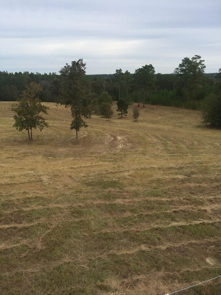 0 Anderson Pond Road Aiken, SC 29803 - Photo 3 of 3