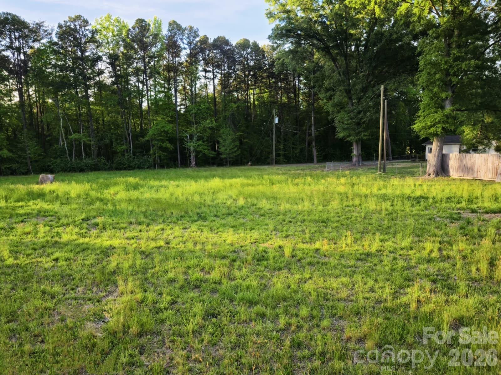 9916 Ellisway Road Charlotte, NC 28216 - Photo 2 of 6