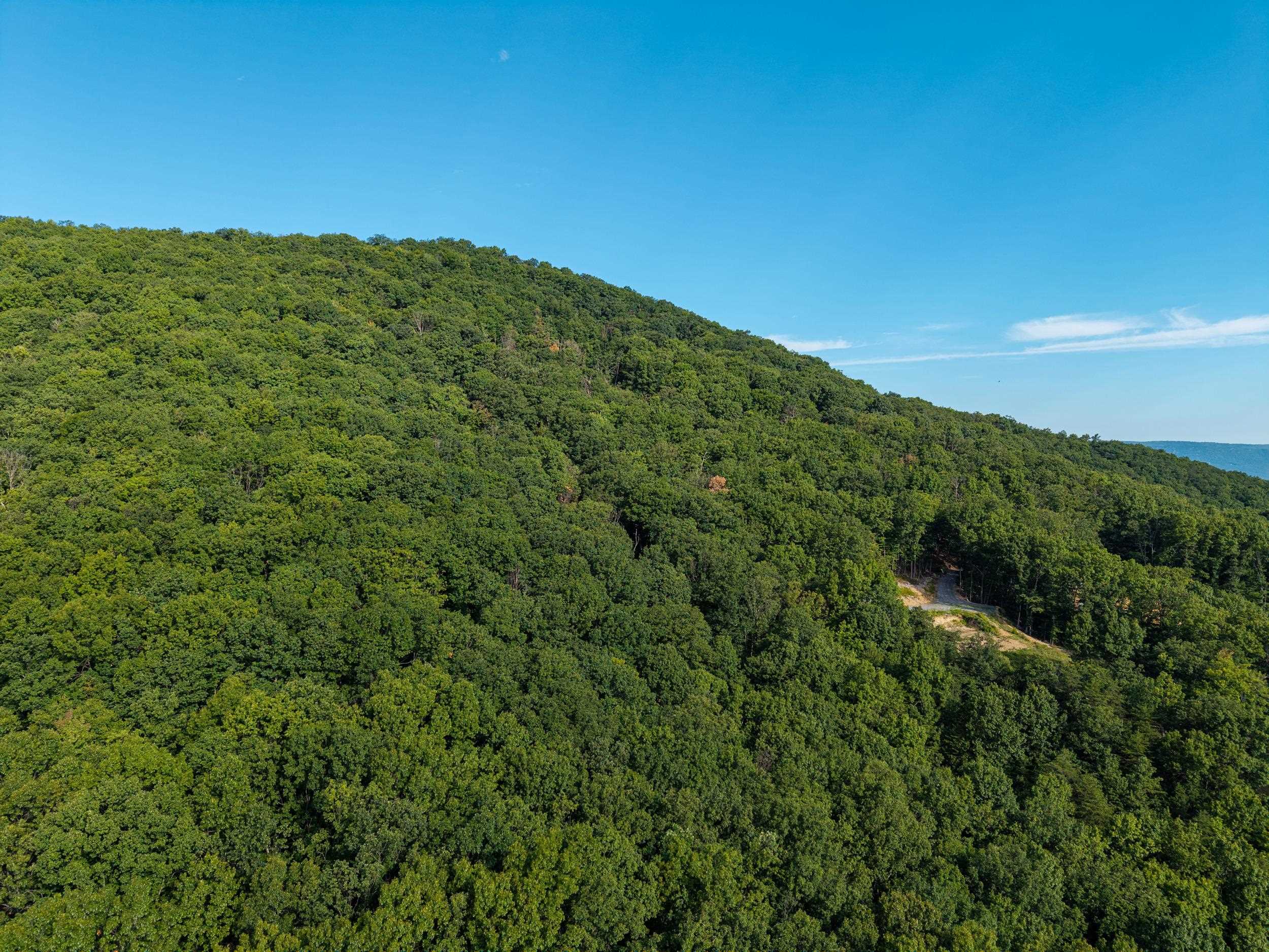 0 Roundhead Mountain Road Stanley, VA 22851 - Photo 3 of 43 Gallery Image 3
